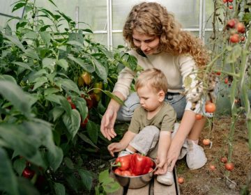 Devenir un parent écoresponsable : astuces simples pour un engagement durable